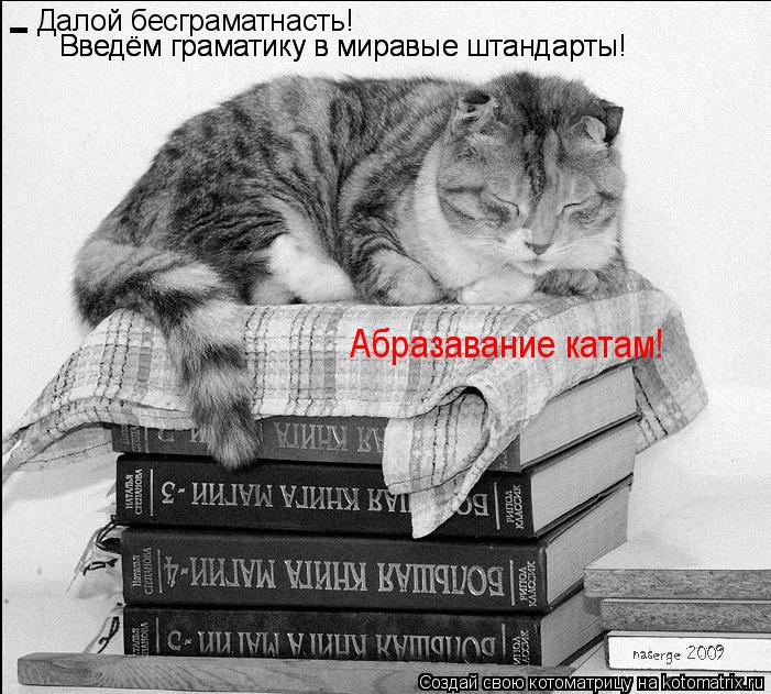 Далой бесграматнасть! Введём граматику в миравые штандарты! - Введём граматику в миравые штандарты! ... Котоматрица: Далой бесграматнасть! Введём граматику в миравые штандарты! - Введём граматику в миравые штандарты! Абразавание катам!