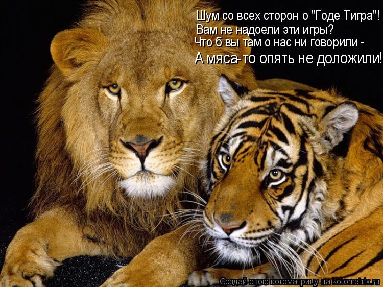 Котоматрица: Шум со всех сторон о "Годе Тигра"! Вам не надоели эти игры? Что б вы там о нас ни говорили - А мяса-то опять не доложили! А мяса-то опять не долож