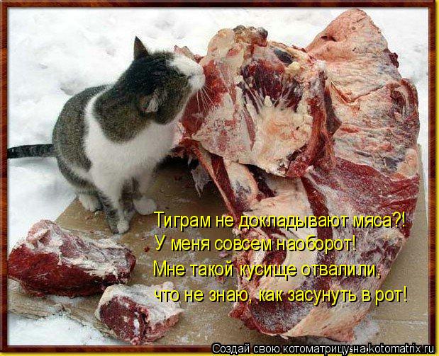 Котоматрица: Тиграм не докладывают мяса?! У меня совсем наоборот! Мне такой кусище отвалили, что не знаю, как засунуть в рот!
