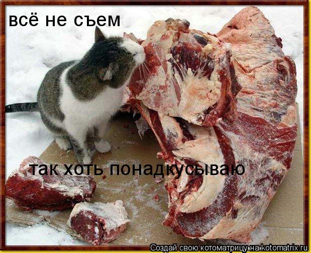 всё не съем так хоть понадкусываю... Котоматрица: всё не съем так хоть понадкусываю