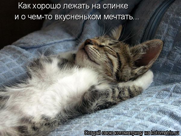 Как хорошо лежать на спинке и о чем-то вкусненьком мечтать...... Котоматрица: Как хорошо лежать на спинке и о чем-то вкусненьком мечтать...