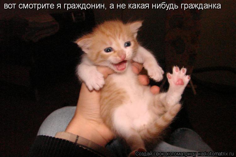 вот смотрите я граждонин, а не какая нибудь гражданка... Котоматрица: вот смотрите я граждонин, а не какая нибудь гражданка