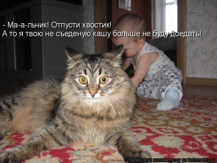 - Ма-а-льчик! Отпусти хвостик! А то я твою не съеденую кашу больше не буду доедать!... Котоматрица: - Ма-а-льчик! Отпусти хвостик! А то я твою не съеденую кашу больше не буду доедать!