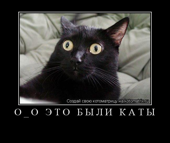 О_о это были каты ... Котоматрица: О_о это были каты