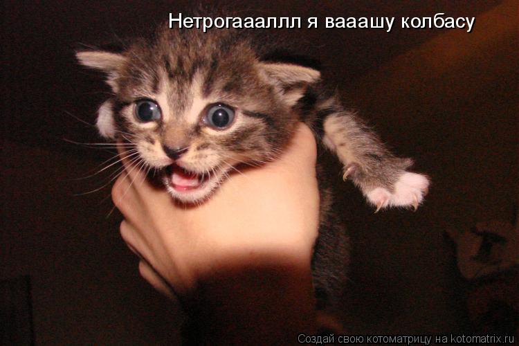 Нетрогаааллл я вааашу колбасу... Котоматрица: Нетрогаааллл я вааашу колбасу