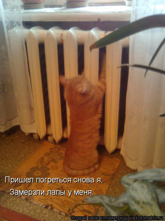 Пришел погреться снова я, Замерзли лапы у меня.... Котоматрица: Пришел погреться снова я, Замерзли лапы у меня.