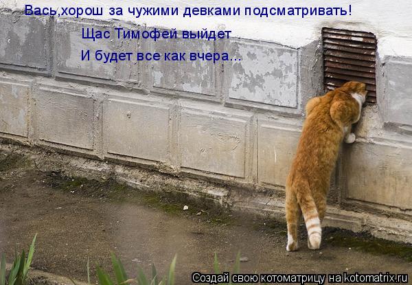 Вась,хорош за чужими девками подсматривать! Щас Тимофей выйдет И будет все как вчера...... Котоматрица: Вась,хорош за чужими девками подсматривать! Щас Тимофей выйдет И будет все как вчера...