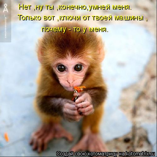 Нет ,ну ты ,конечно,умней меня. Только вот ,ключи от твоей машины , почему - то у меня.... Котоматрица: Нет ,ну ты ,конечно,умней меня. Только вот ,ключи от твоей машины , почему - то у меня.
