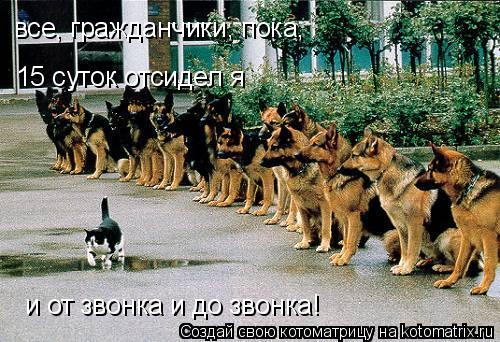 все, гражданчики, пока, 15 суток отсидел я и от звонка и до звонка!... Котоматрица: все, гражданчики, пока, 15 суток отсидел я и от звонка и до звонка!
