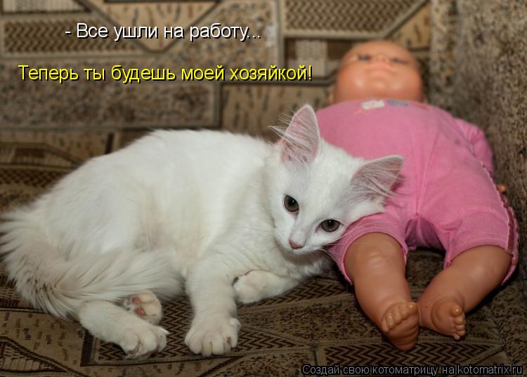 - Все ушли на работу... Теперь ты будешь моей хозяйкой!... Котоматрица: - Все ушли на работу... Теперь ты будешь моей хозяйкой!