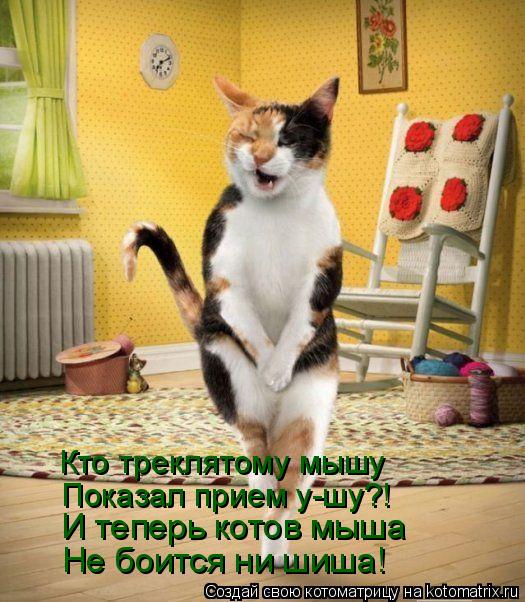 Кто треклятому мышу Показал прием у-шу?! И теперь котов мыша Не боится ни шиша!... Котоматрица: Кто треклятому мышу Показал прием у-шу?! И теперь котов мыша Не боится ни шиша!