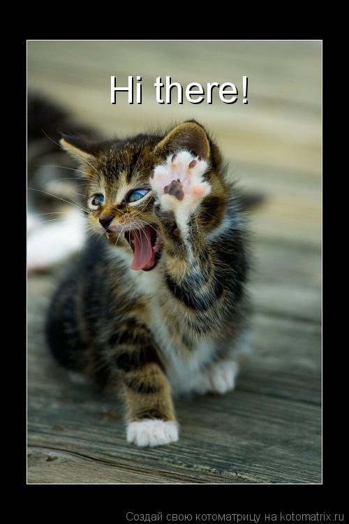 Hi there!... Котоматрица: Hi there!