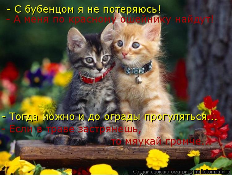 - С бубенцом я не потеряюсь! - А меня по красному ошейнику найдут! - Тогда можно и до ограды прогулят... Котоматрица: - С бубенцом я не потеряюсь! - А меня по красному ошейнику найдут! - Тогда можно и до ограды прогуляться... - Если в траве застрянешь, то мяукай
