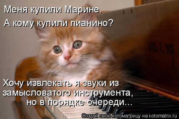 Котоматрица: Меня купили Марине. А кому купили пианино? Хочу извлекать я звуки из  замысловатого инструмента, но в порядке очереди...