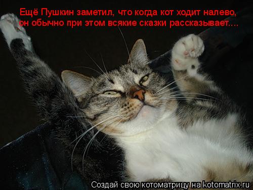 Котоматрица: Ещё Пушкин заметил, что когда кот ходит налево,  он обычно при этом всякие сказки рассказывает....