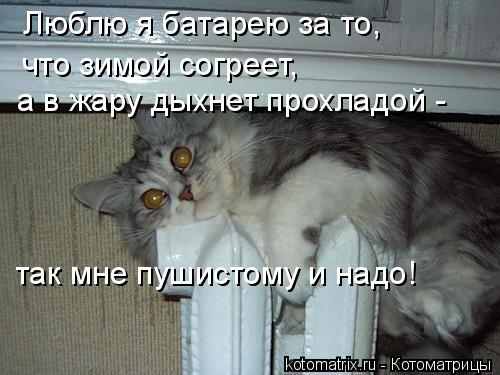 Котоматрица: Люблю я батарею за то, что зимой согреет, а в жару дыхнет прохладой - так мне пушистому и надо!