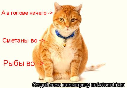 Котоматрица: Рыбы во -> Сметаны во -> А в голове ничего ->