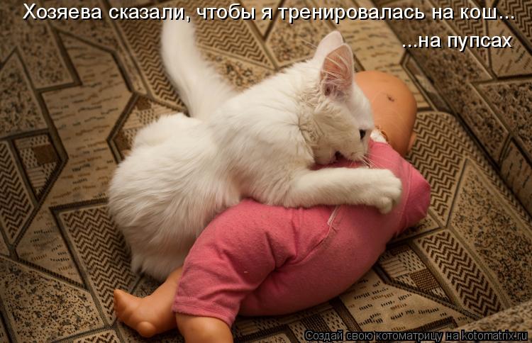 Котоматрица: Хозяева сказали, чтобы я тренировалась на кош... ...на пупсах