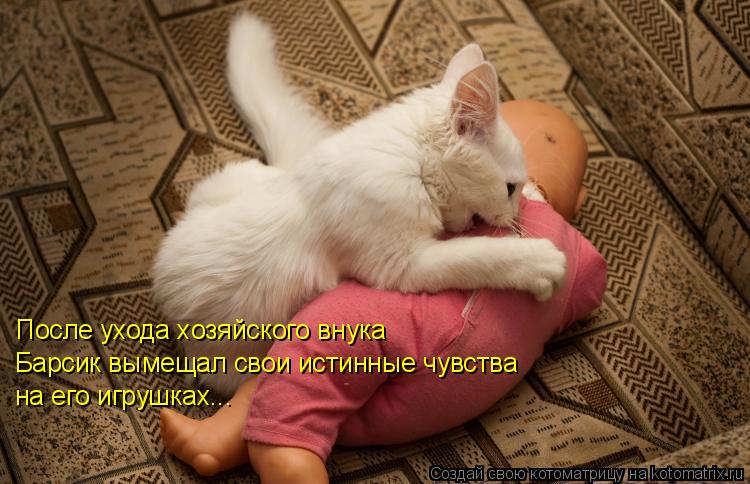 После ухода хозяйского внука Барсик вымещал свои истинные чувства на его игрушках...... Котоматрица: После ухода хозяйского внука Барсик вымещал свои истинные чувства на его игрушках...