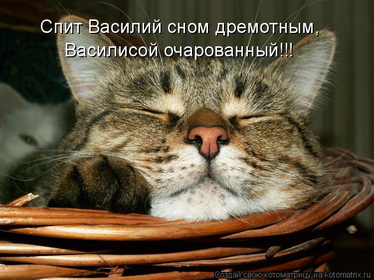 Котоматрица: Спит Василий сном дремотным, Василисой очарованный!!!