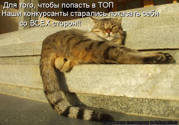 Для того, чтобы попасть в ТОП Наши конкурсанты старались показать себя со ВСЕХ сторон!!... Котоматрица: Для того, чтобы попасть в ТОП Наши конкурсанты старались показать себя со ВСЕХ сторон!!