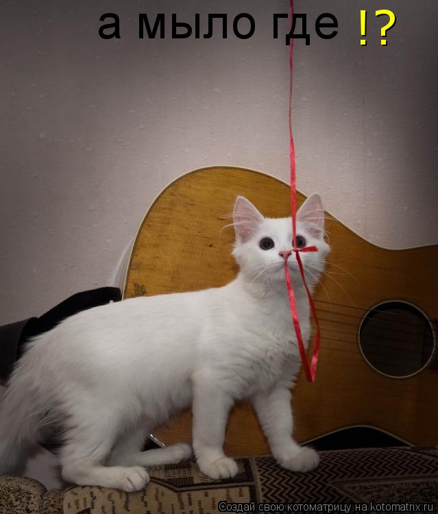 Котоматрица: а мыло где !?