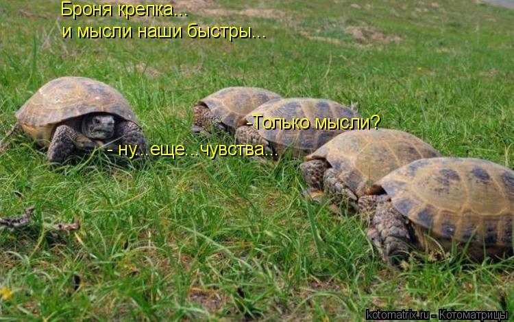 Котоматрица: Броня крепка... и мысли наши быстры... - ну...еще...чувства... -Только мысли?