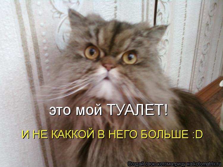 Котоматрица: это мой ТУАЛЕТ! И НЕ КАККОЙ В НЕГО БОЛЬШЕ :D