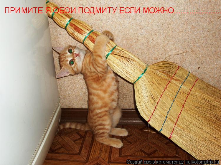 Котоматрица: ПРИМИТЕ Я ОБОИ ПОДМИТУ ЕСЛИ МОЖНО................................