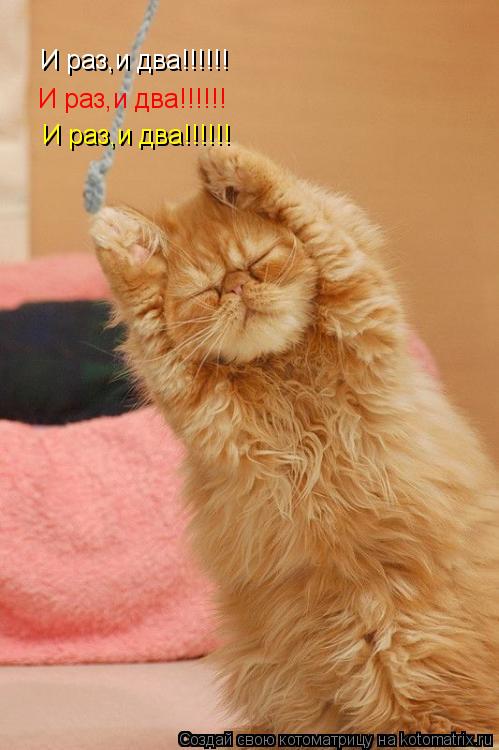 Котоматрица: И раз,и два!!!!!! И раз,и два!!!!!! И раз,и два!!!!!!