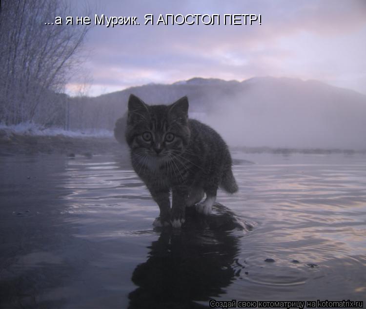 Котоматрица: ...а я не Мурзик. Я АПОСТОЛ ПЕТР!
