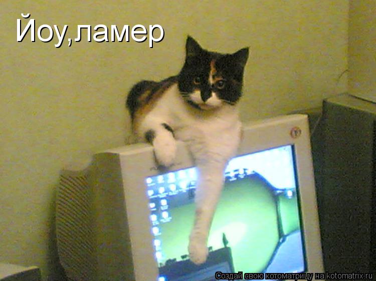 Котоматрица: Йоу,ламер