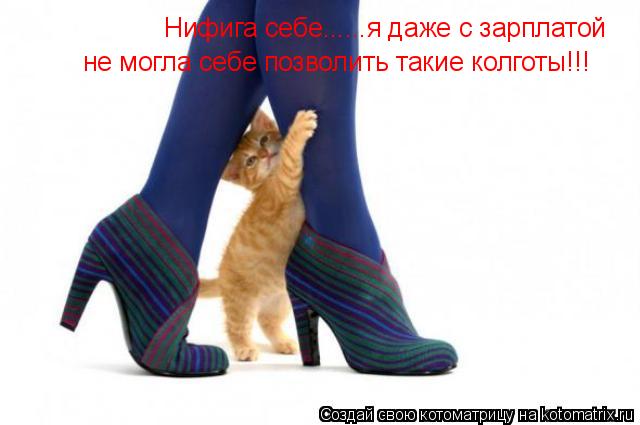 Котоматрица: Нифига себе......я даже с зарплатой  не могла себе позволить такие колготы!!!