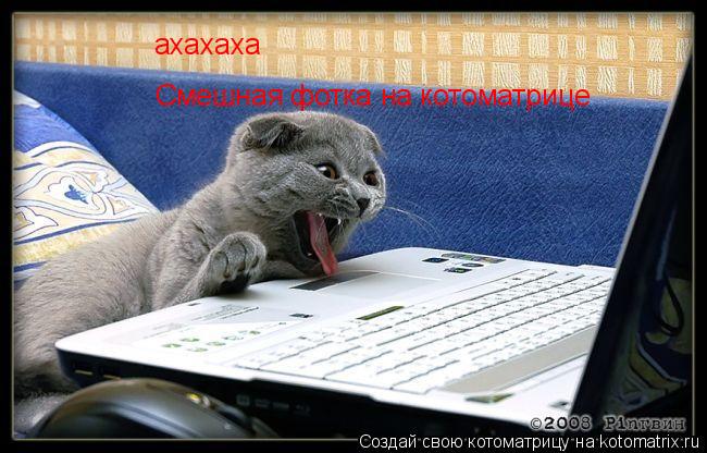 Котоматрица: ахахаха Смешная фотка на котоматрице