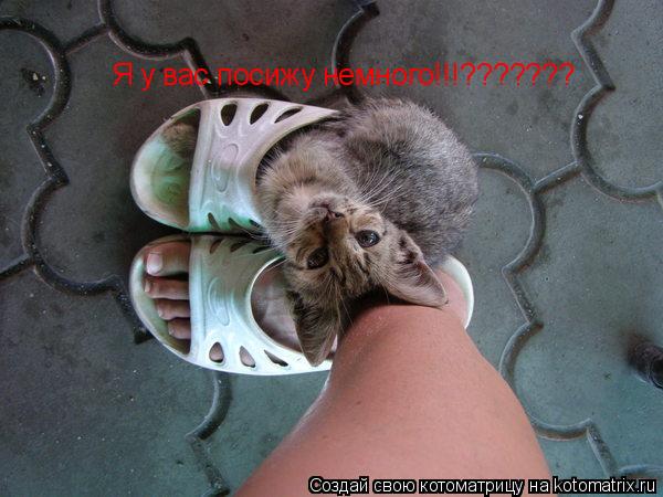 Котоматрица: Я у вас посижу немного!!!???????