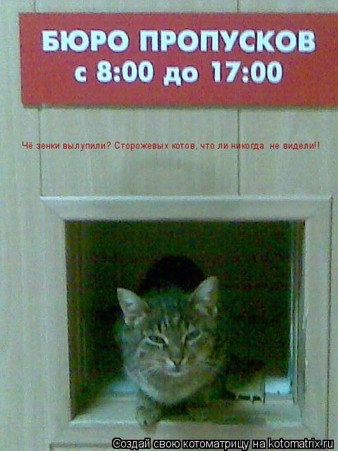 Котоматрица: Чё зенки вылупили? Сторожевых котов, что ли никогда  не видели!!