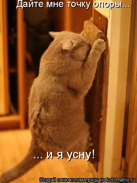 Котоматрица: Дайте мне точку опоры... ... и я усну!