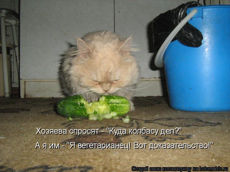 Котоматрица: Хозяева спросят - "Куда колбасу дел?" А я им - "Я вегетарианец! Вот доказательство!"