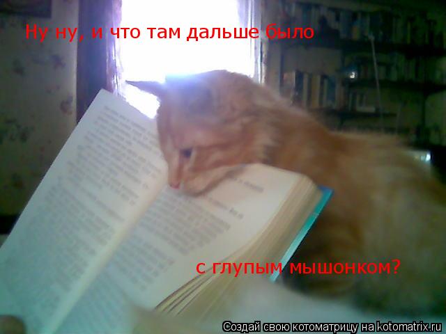 Котоматрица: Ну ну, и что там дальше было   с глупым мышонком?