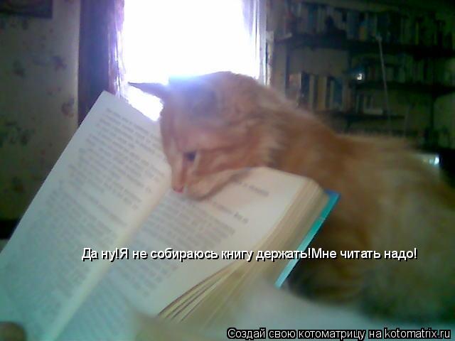 Котоматрица: Да ну!Я не собираюсь книгу держать!Мне читать надо!