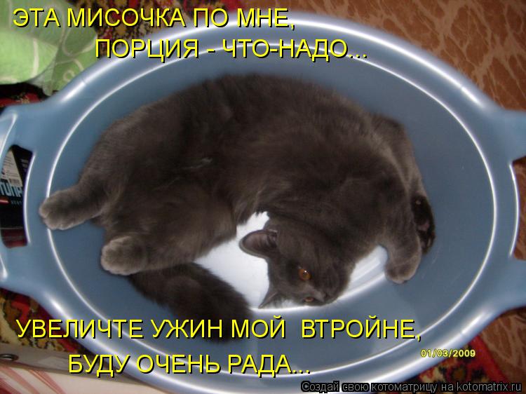 Котоматрица: ЭТА МИСОЧКА ПО МНЕ, ПОРЦИЯ - ЧТО-НАДО... БУДУ ОЧЕНЬ РАДА... УВЕЛИЧТЕ УЖИН МОЙ  ВТРОЙНЕ,
