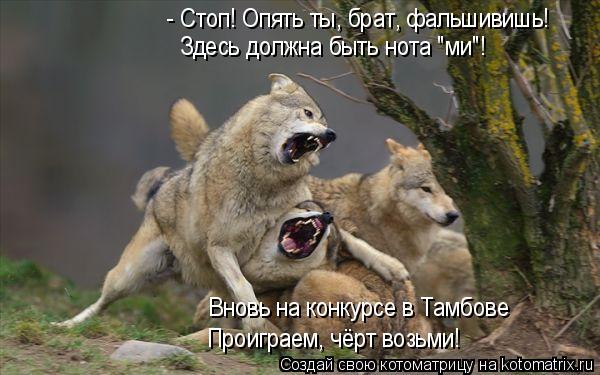 - Стоп! Опять ты, брат, фальшивишь! Здесь должна быть нота "ми"! Вновь на конкурсе в Тамбове Проиграе... Котоматрица: - Стоп! Опять ты, брат, фальшивишь! Здесь должна быть нота "ми"! Вновь на конкурсе в Тамбове Проиграем, чёрт возьми!