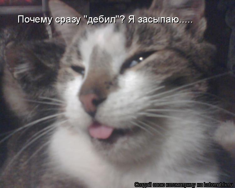 Котоматрица: Почему сразу "дебил"? Я засыпаю.....