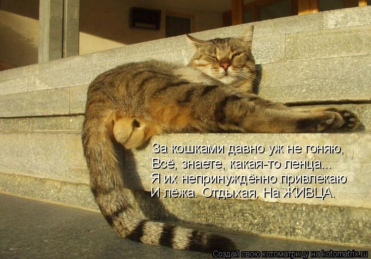 За кошками давно уж не гоняю, Всё, знаете, какая-то ленца... Я их непринуждённо привлекаю И лёжа. Отд... Котоматрица: За кошками давно уж не гоняю, Всё, знаете, какая-то ленца... Я их непринуждённо привлекаю И лёжа. Отдыхая. На ЖИВЦА.