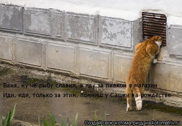 Котоматрица: Ваня, ну чё рыбу славил, я иду за пивком в магазин Иди, иди, только за этим, помниш у Сашки на рождестве