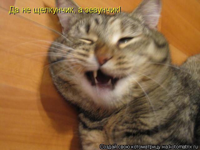 Котоматрица: Да не щелкунчик, а зевунчик!