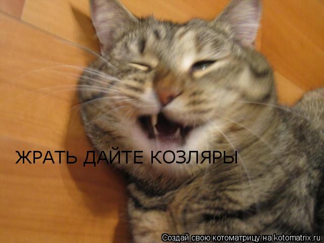 Котоматрица: ЖРАТЬ ДАЙТЕ КОЗЛЯРЫ