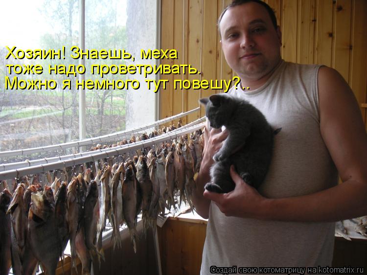 Можно я немного тут повешу?.. тоже надо проветривать. Хозяин! Знаешь, меха... Котоматрица: Можно я немного тут повешу?.. тоже надо проветривать. Хозяин! Знаешь, меха
