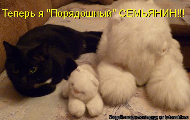 Теперь я "Порядошный" СЕМЬЯНИН!!! Теперь я "Порядошный" СЕМЬЯНИН!!!... Котоматрица: Теперь я "Порядошный" СЕМЬЯНИН!!! Теперь я "Порядошный" СЕМЬЯНИН!!!