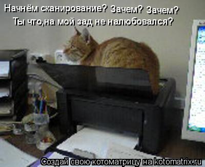 Начнём сканирование? Зачем? Зачем? Ты что,на мой зад не налюбовался?... Котоматрица: Начнём сканирование? Зачем? Зачем? Ты что,на мой зад не налюбовался?